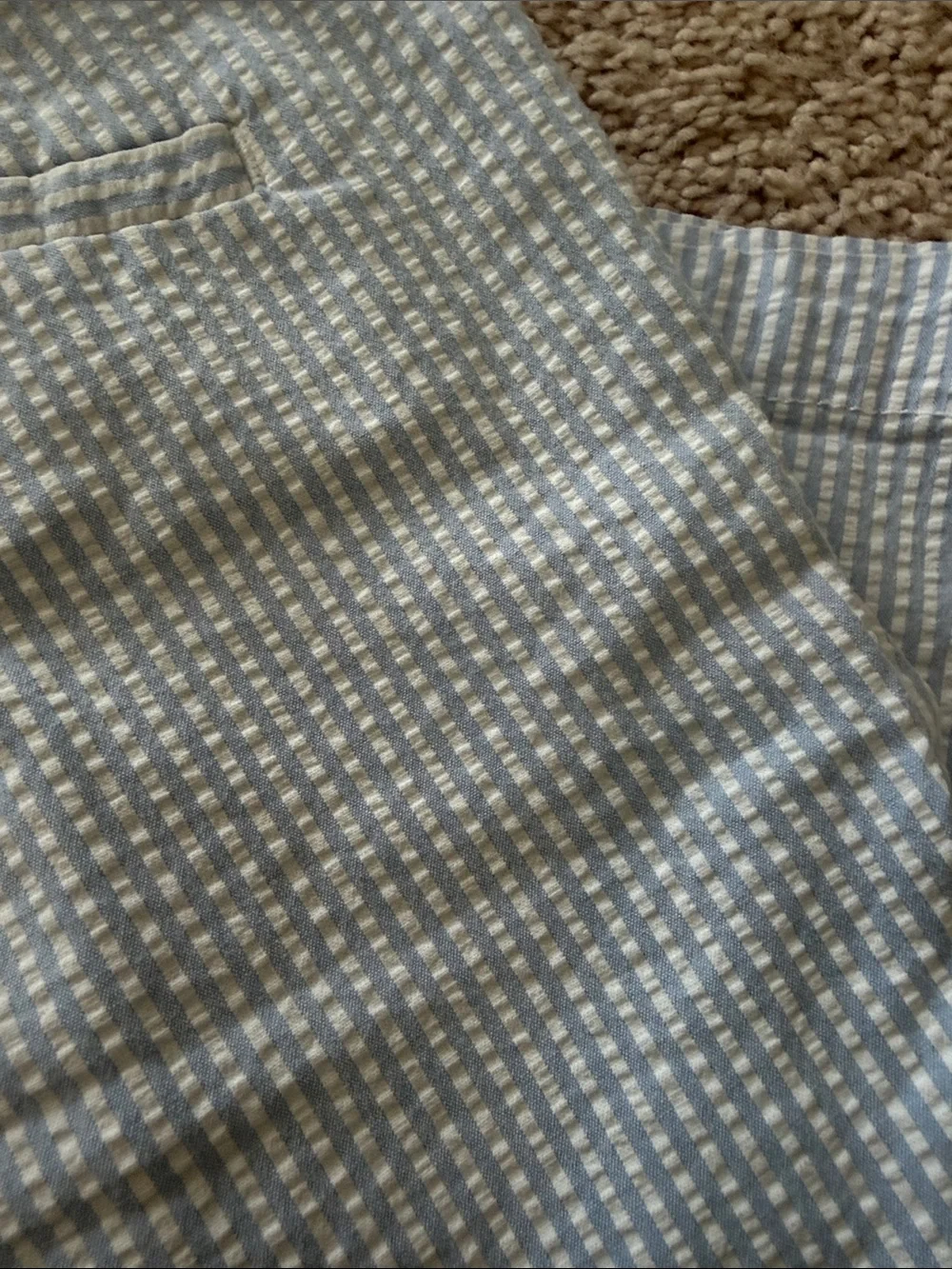 Banana Republic Light Blue Seersucker Flat-Front Shorts